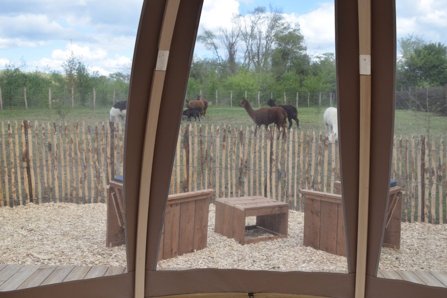 Bulle de nature famille & Spa : Bulle en Pays de la Loire – cadre naturel Maine-et-Loire