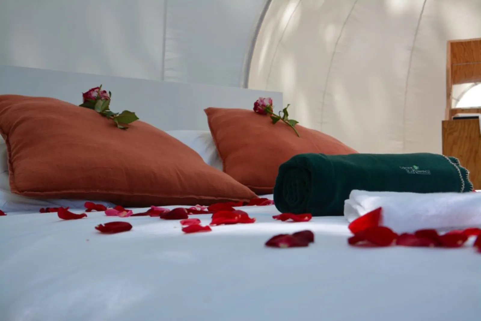 Bulle Spa Arômes : Bulle en Aquitaine (Nouvelle Aquitaine) - cadre naturel Gironde