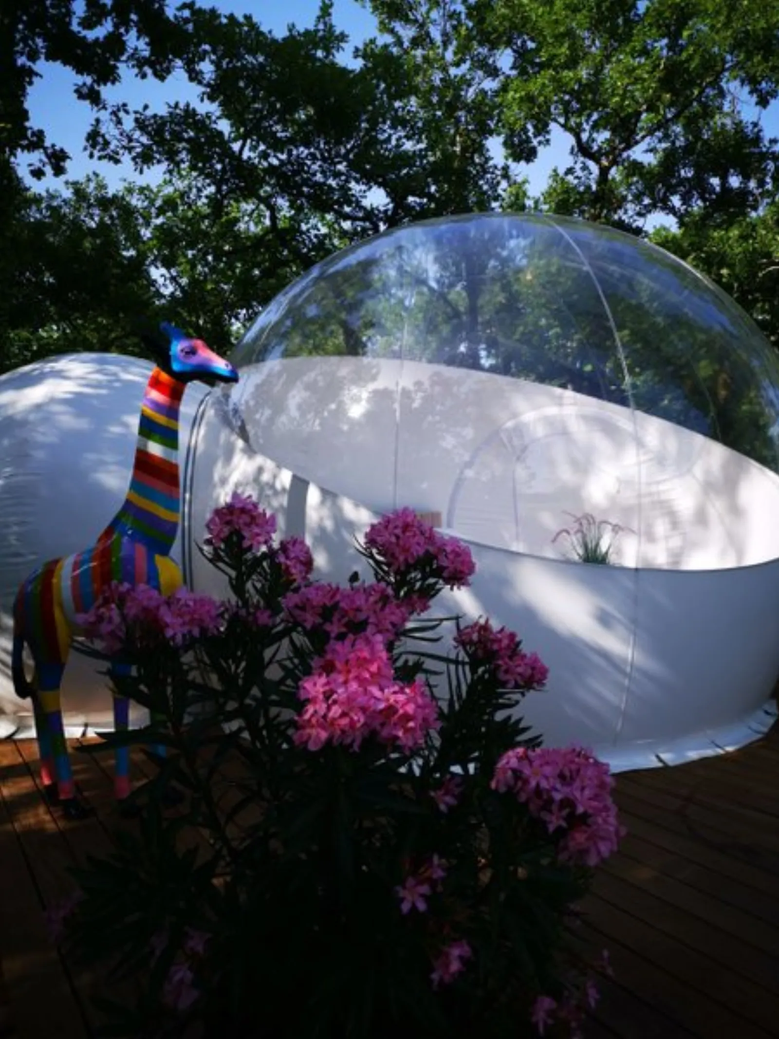 Bull'Aphrodite & Spa : Bulle en Midi-Pyrénées (Occitanie) - photo 7 sur 36