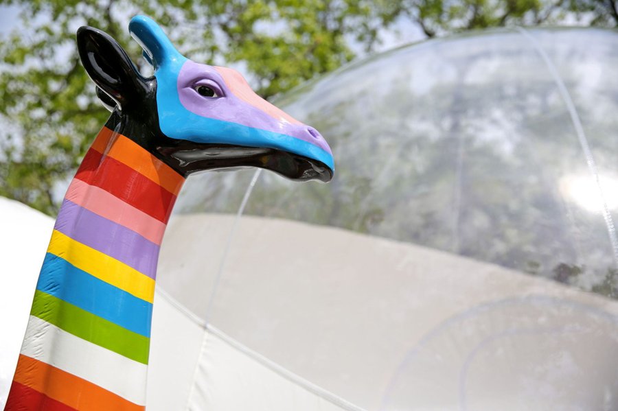 Bull'Aphrodite & Spa : Bulle en Midi-Pyrénées (Occitanie) – photo 12 sur 36