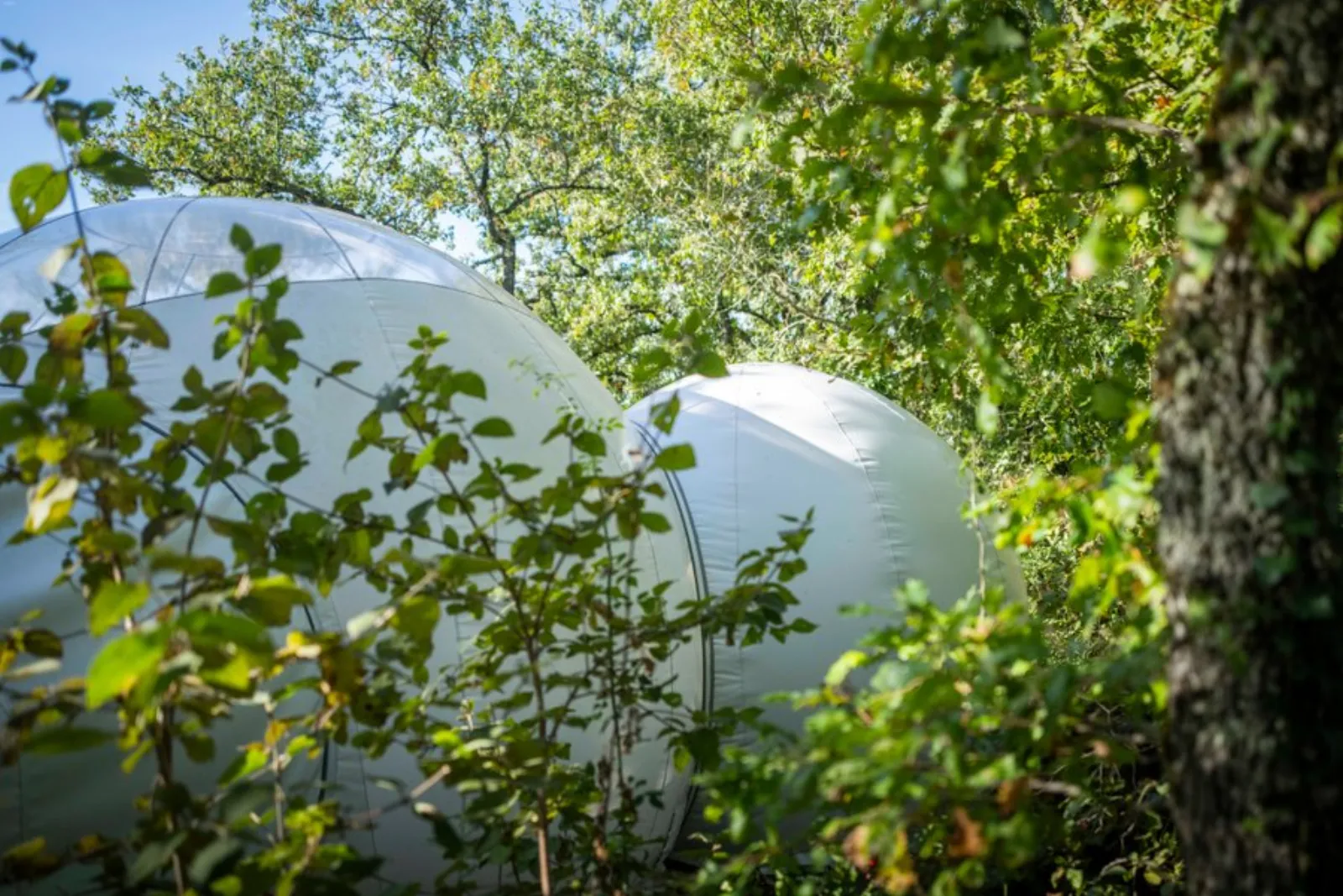 Bull'Aphrodite & Spa : Bulle en Midi-Pyrénées (Occitanie) - photo 25 sur 36