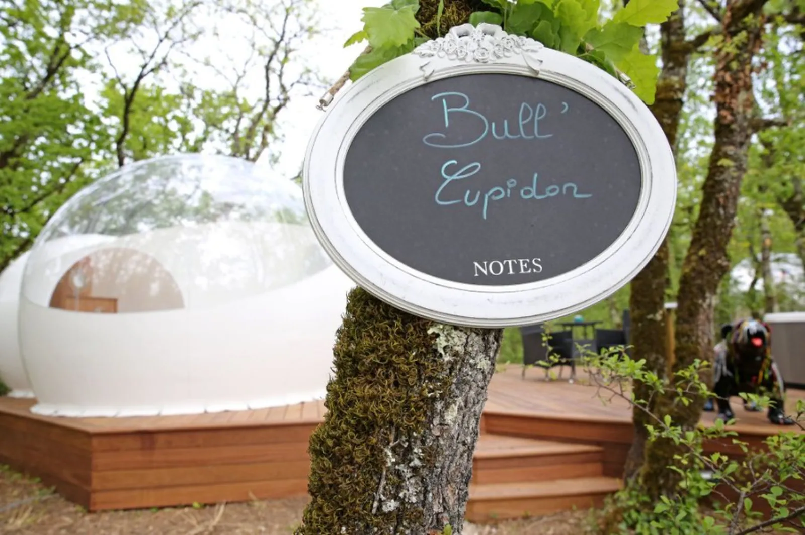 Bull'Cupidon & Spa : Bulle en Midi-Pyrénées (Occitanie) - photo 8 sur 27