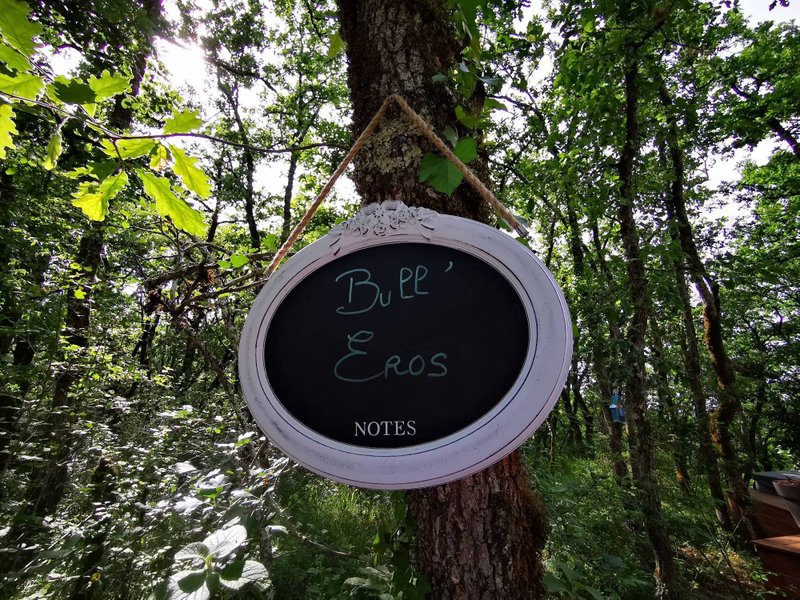 Bull'Eros & Spa : Bulle en Midi-Pyrénées (Occitanie) – photo 14 sur 30