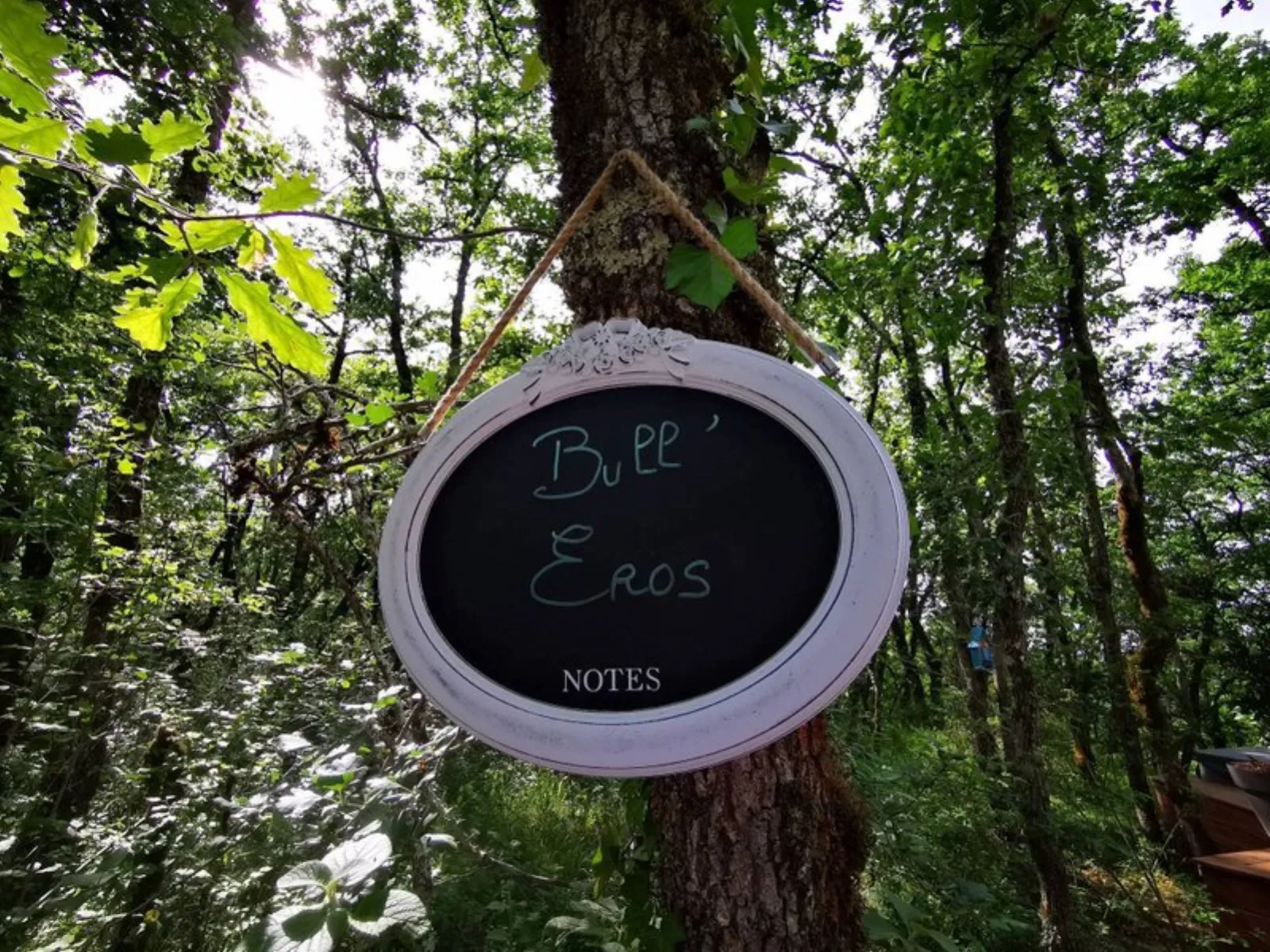 Bull'Eros & Spa : Bulle en Midi-Pyrénées (Occitanie) - photo 14 sur 30