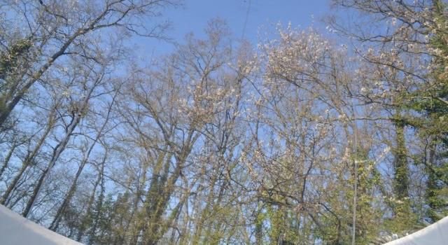 Bubble star : Bulle en Pays de la Loire – photo 12 sur 18