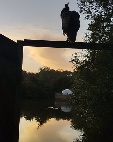 Bulle flottante : Bulle en Bretagne – photo 8 sur 17