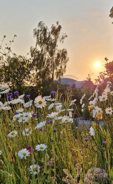 Intérieur bulle à Drincham