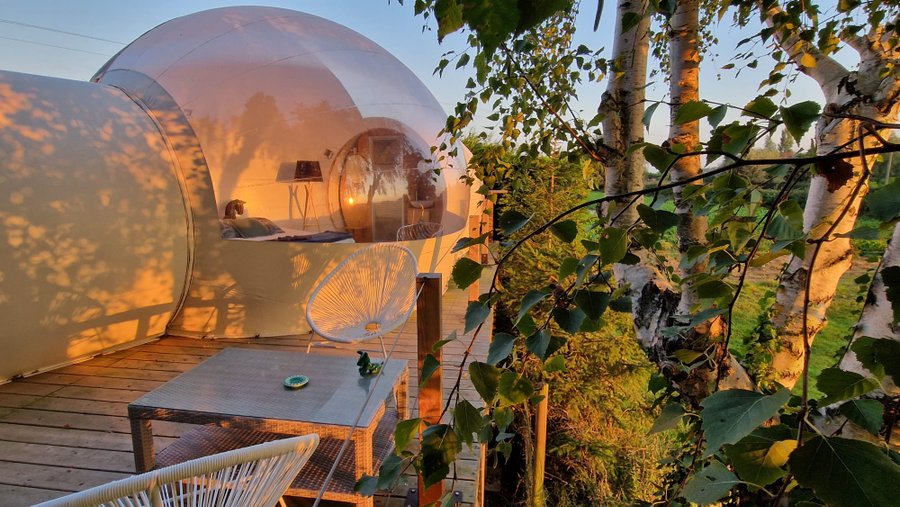 Bulle Vénus avec planche dînatoire et petit-déjeuner : Bulle en Nord-Pas-de-Calais (Hauts-de-France) – cadre naturel Nord