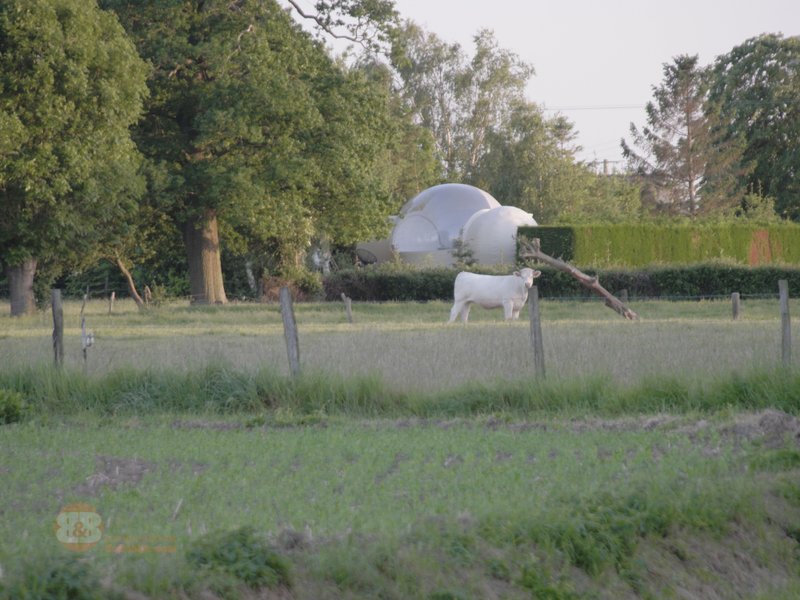 Bulle Vénus avec planche dînatoire et petit-déjeuner : Bulle en Nord-Pas-de-Calais (Hauts-de-France) – photo 9 sur 18