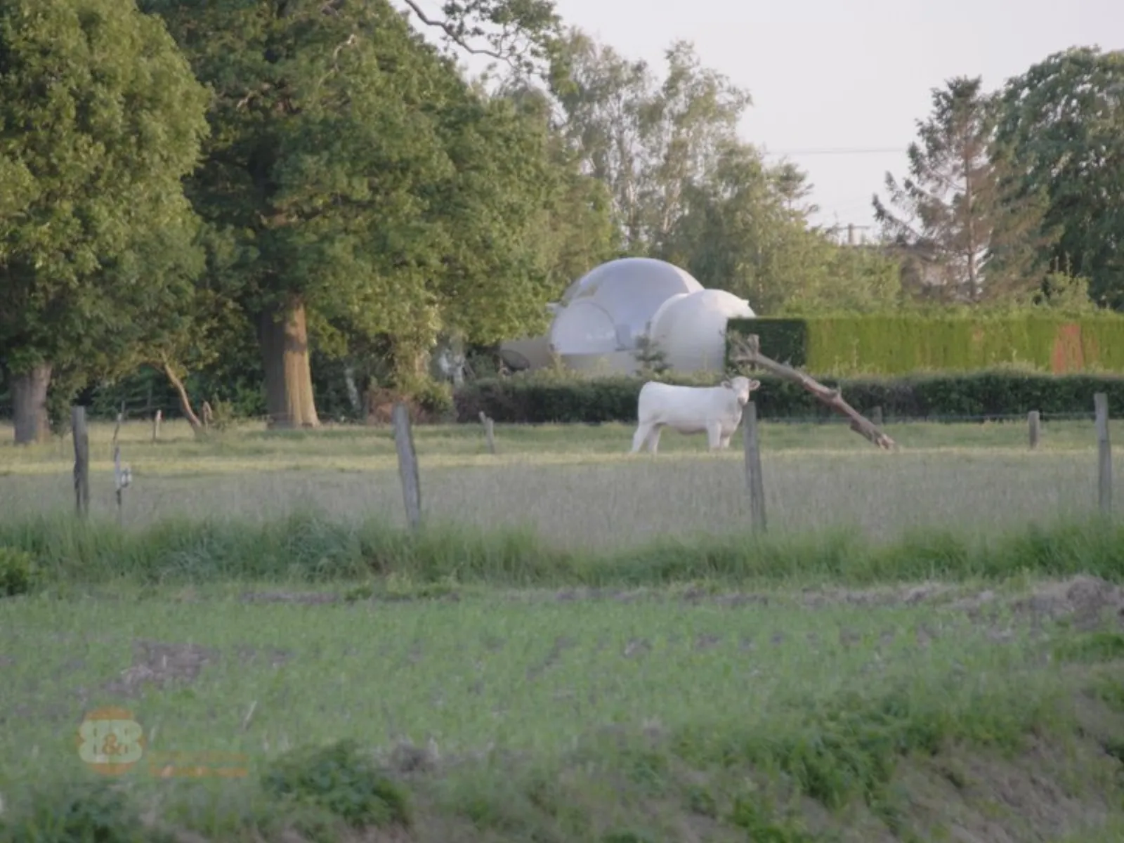 Bulle Vénus avec planche dînatoire et petit-déjeuner : Bulle en Nord-Pas-de-Calais (Hauts-de-France) - photo 9 sur 18