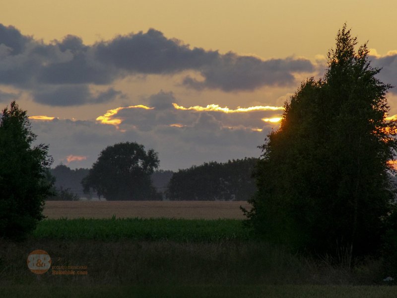 Bulle Vénus avec planche dînatoire et petit-déjeuner : Bulle en Nord-Pas-de-Calais (Hauts-de-France) – photo 11 sur 18