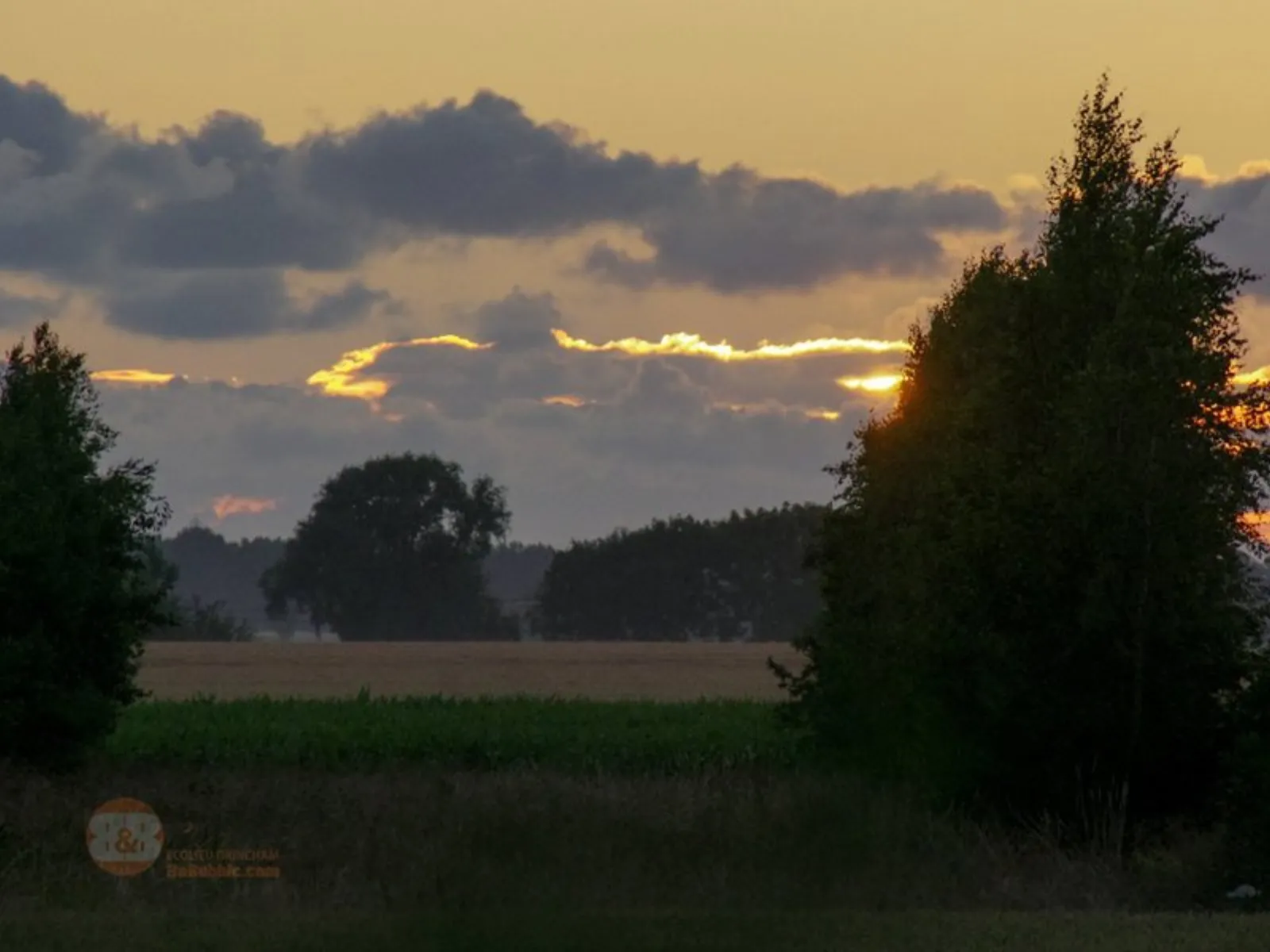 Bulle Vénus avec planche dînatoire et petit-déjeuner : Bulle en Nord-Pas-de-Calais (Hauts-de-France) - photo 11 sur 18