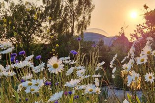 Bulle Yin Yang & balnéo avec planche dînatoire et petit-déjeuner : Bulle en Nord-Pas-de-Calais (Hauts-de-France) – photo 16 sur 17