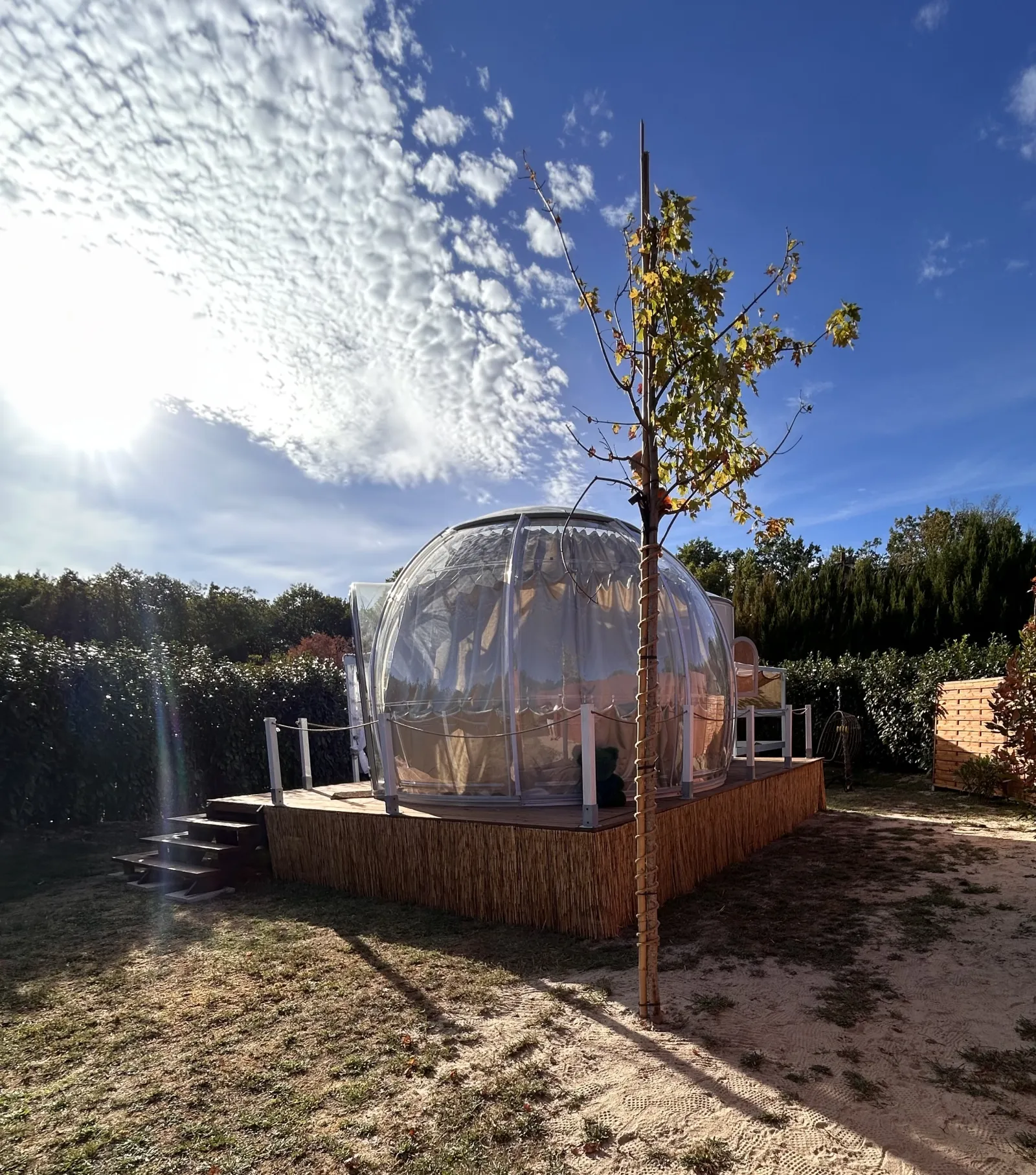 Le Secret des Étoiles & Spa - Bulle avec spa privatif (Mur-de-Sologne, Loir-et-Cher) - photo 6 sur 12