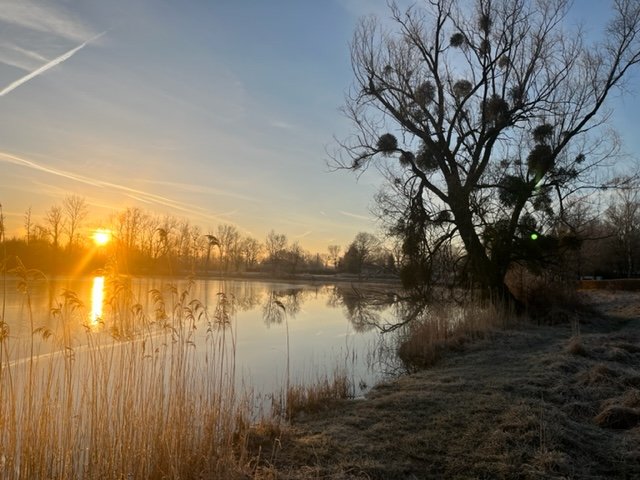 Chambre bulle sous les étoiles à Magnières