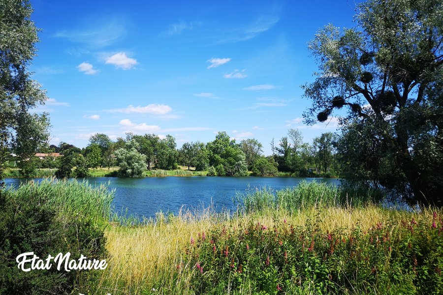 La bulle nuage d'Etat Nature : Bulle en Lorraine (Grand Est) – photo 6 sur 16