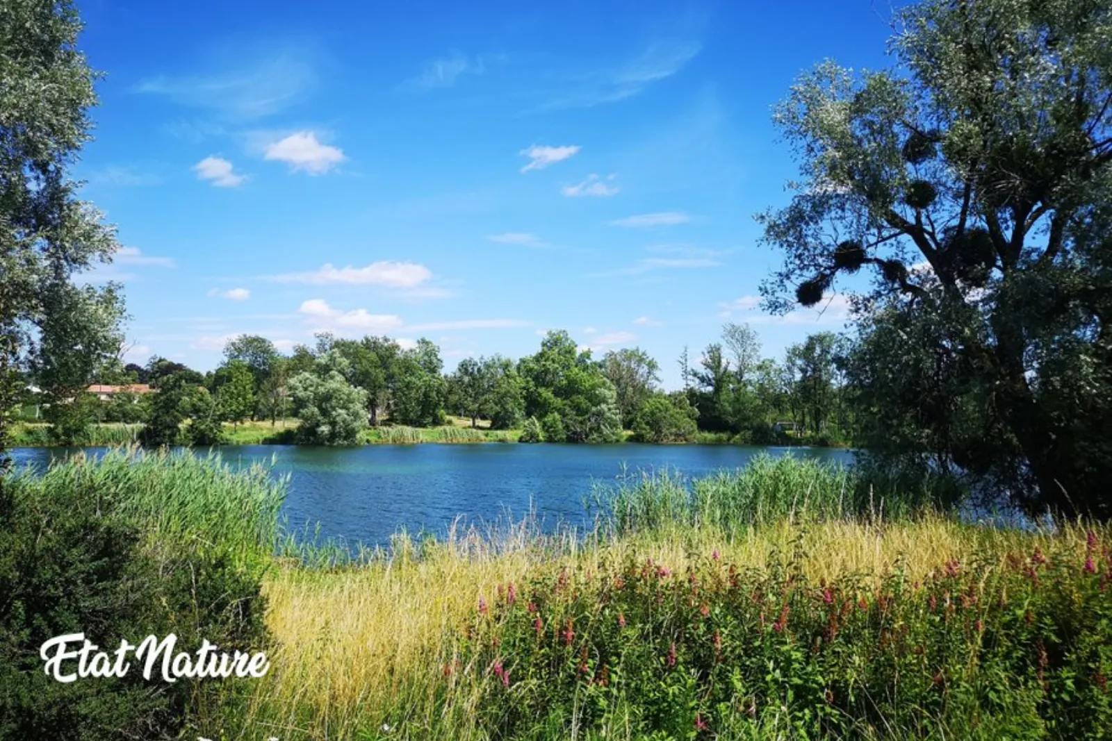 La bulle nuage d'Etat Nature : Bulle en Lorraine (Grand Est) - photo 6 sur 16