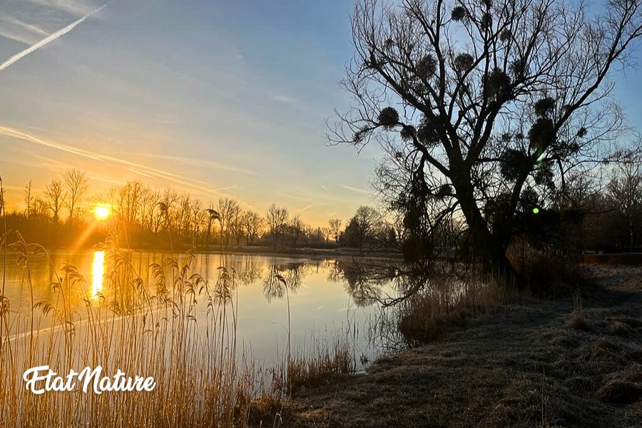 La bulle nuage d'Etat Nature : Bulle en Lorraine (Grand Est) – photo 9 sur 16
