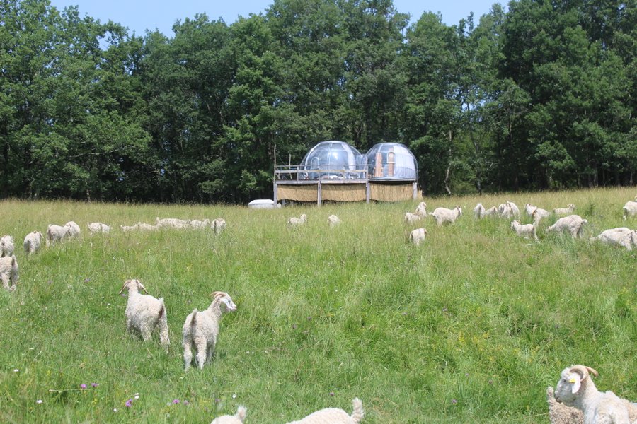 Chambre bulle sous les étoiles à Belbèze-En-Comminges