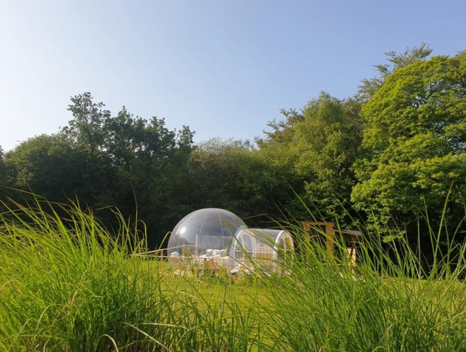 La Bulle de Clotilde : Bulle en Bretagne - cadre naturel Finistère