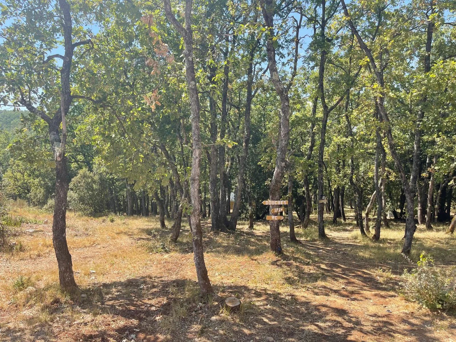 Dôme Cosmos - Dôme transparent en forêt avec spa privatisable (Mons, Var) - photo 6 sur 11