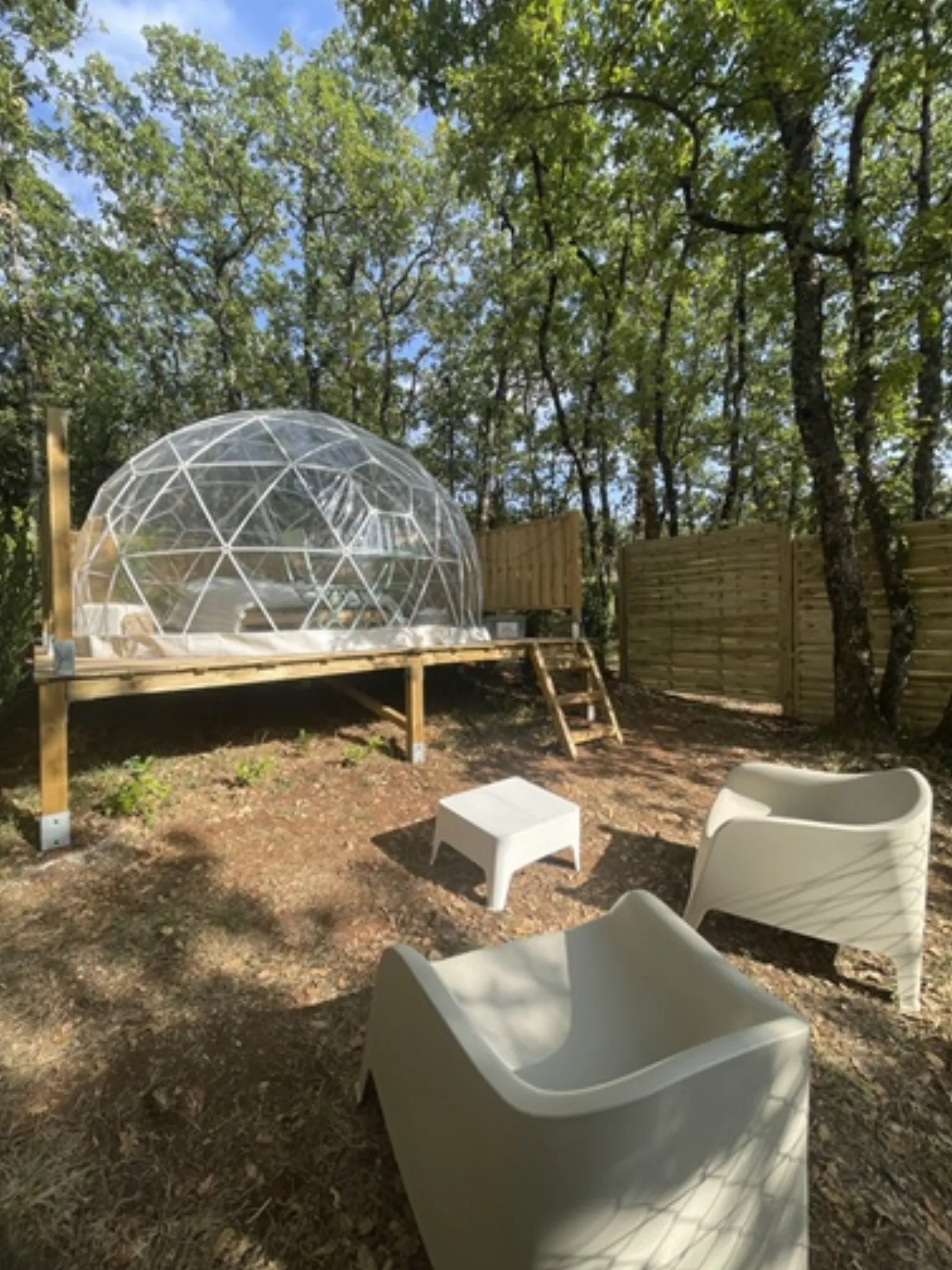 Dôme Cosmos - Dôme transparent en forêt avec spa privatisable (Mons, Var) - photo 11 sur 11