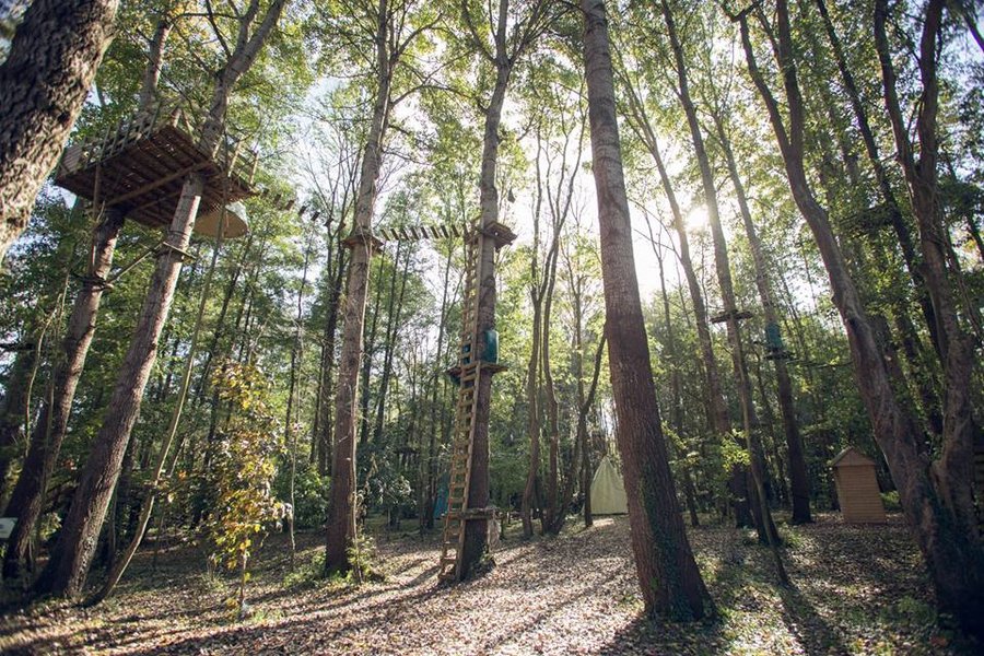 Intérieur bulle à Noisy-Sur-Ecole