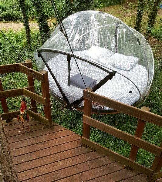 Chambre bulle sous les étoiles à Noisy-Sur-Ecole