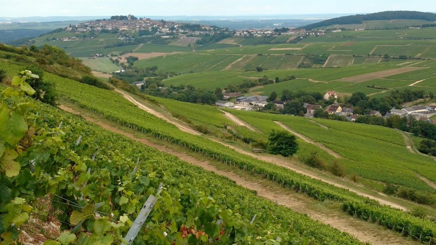 La Bulle des Alpagas : Bulle en Centre (Centre-Val de Loire) – photo 16 sur 16