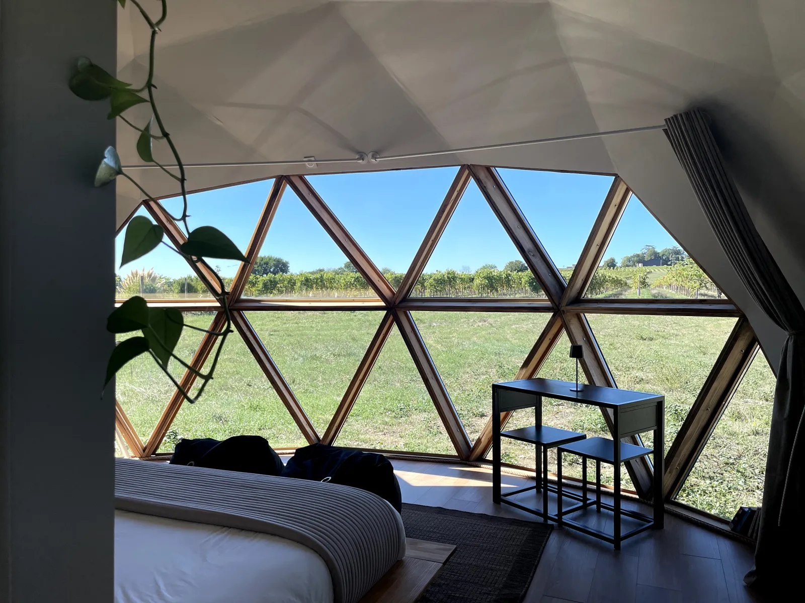 Le Dôme de Cognac & Sauna - Dôme dans les vignes avec sauna (Javrezac, Charente) - vue extérieure