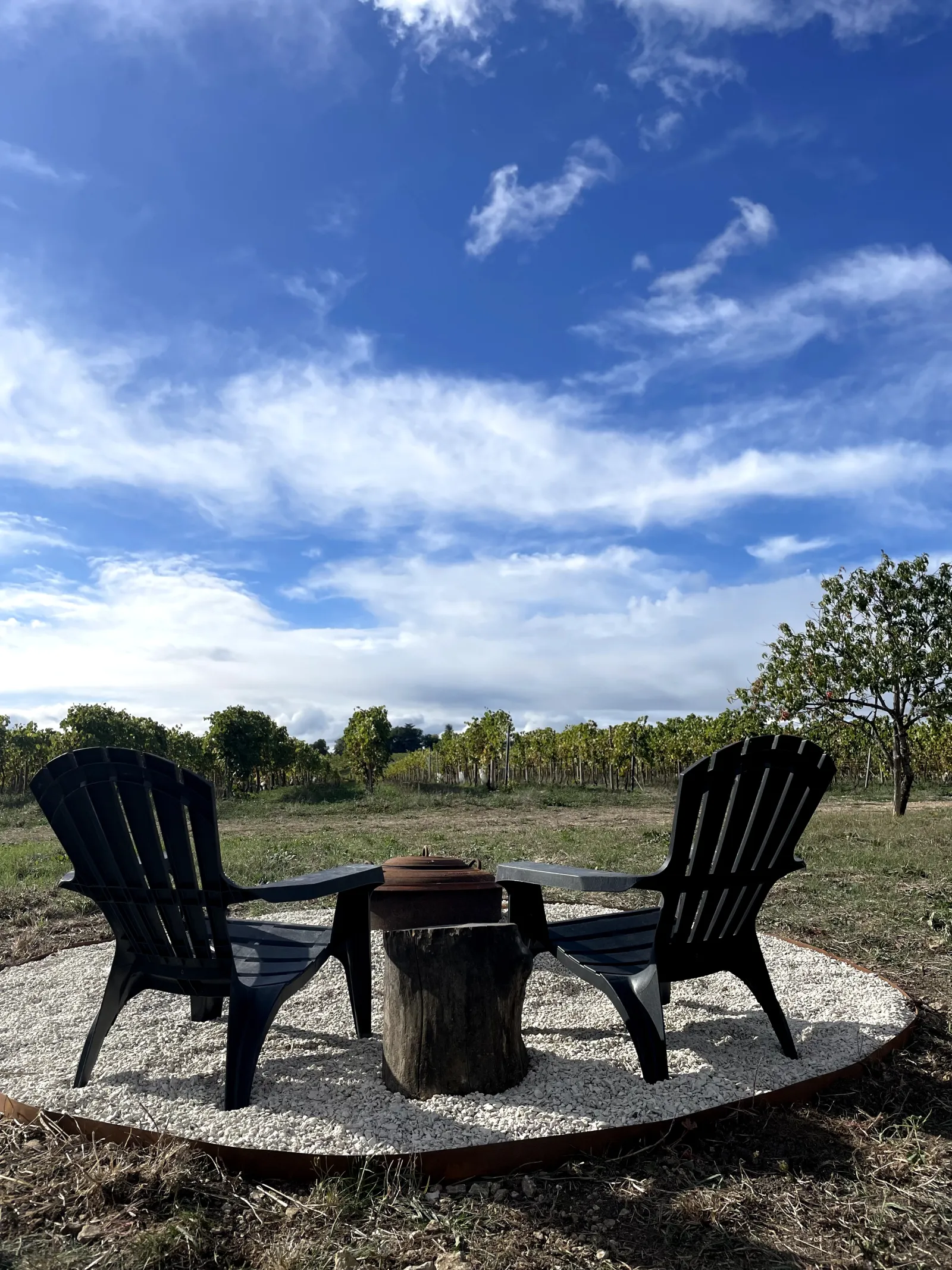 Le Dôme de Cognac & Sauna - Dôme dans les vignes avec sauna (Javrezac, Charente) - photo 9 sur 26