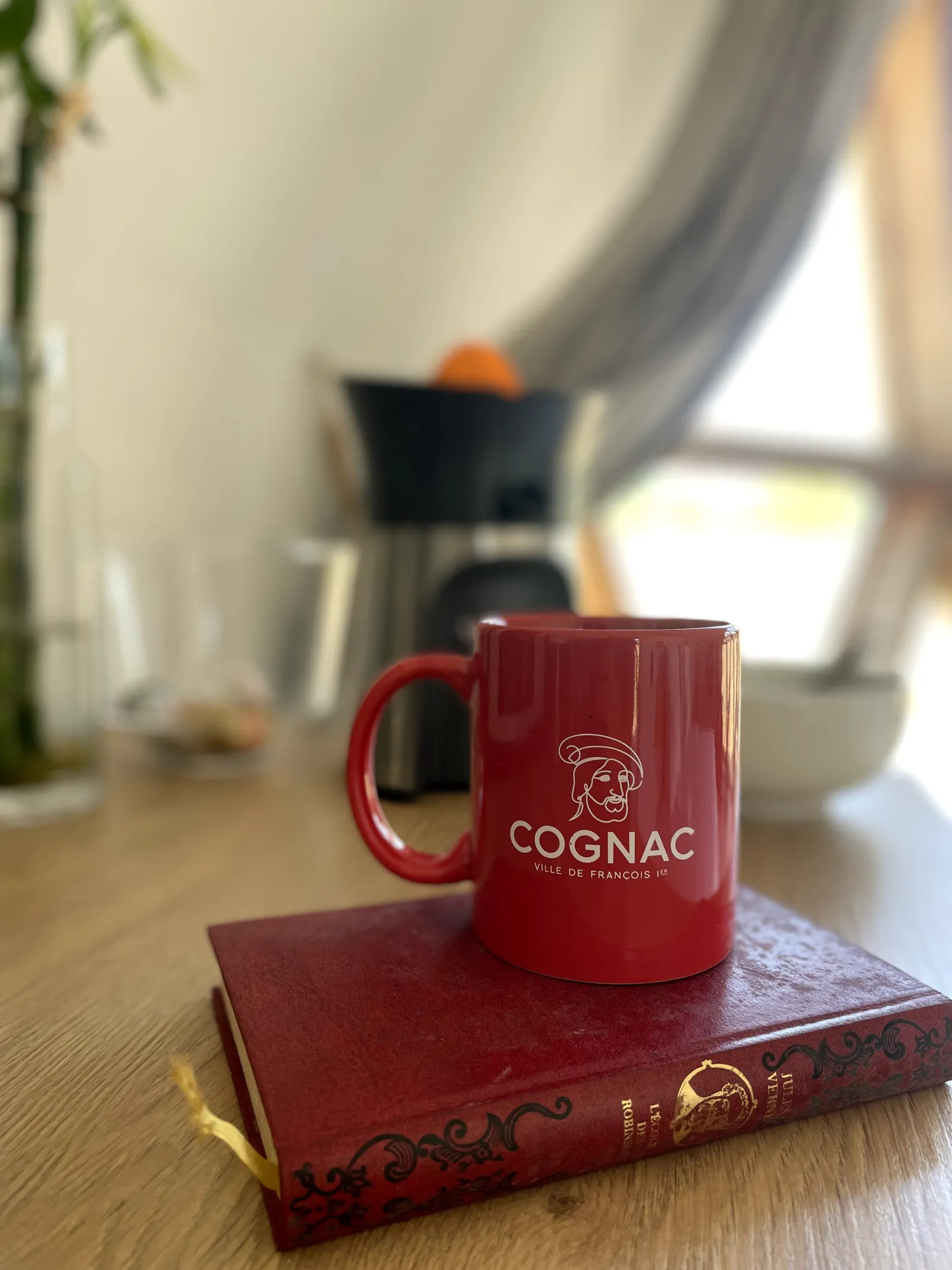 Le Dôme de Cognac & Sauna - Dôme dans les vignes avec sauna (Javrezac, Charente) - photo 22 sur 26