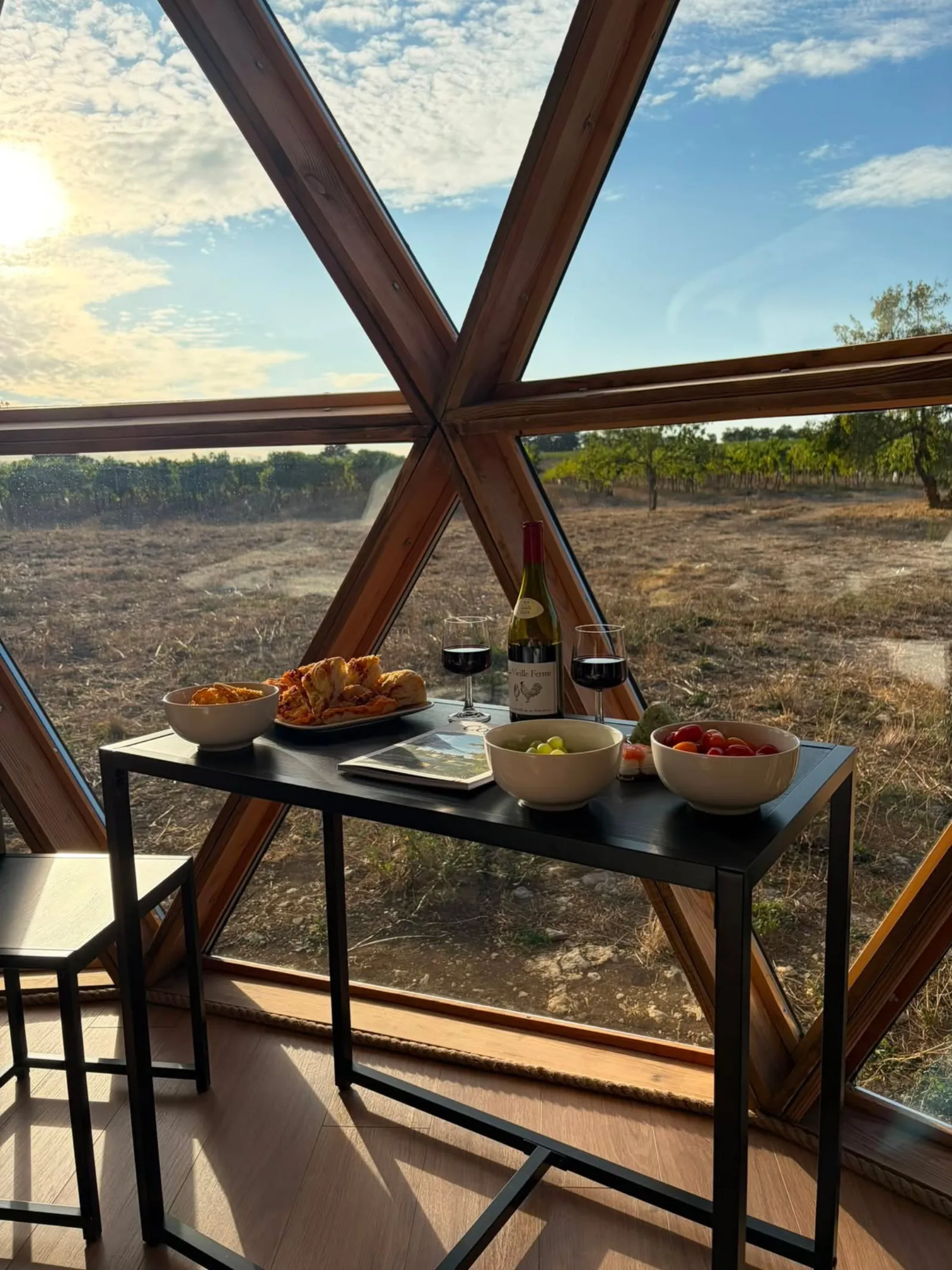 Le Dôme de Cognac & Sauna - Dôme dans les vignes avec sauna (Javrezac, Charente) - photo 25 sur 26