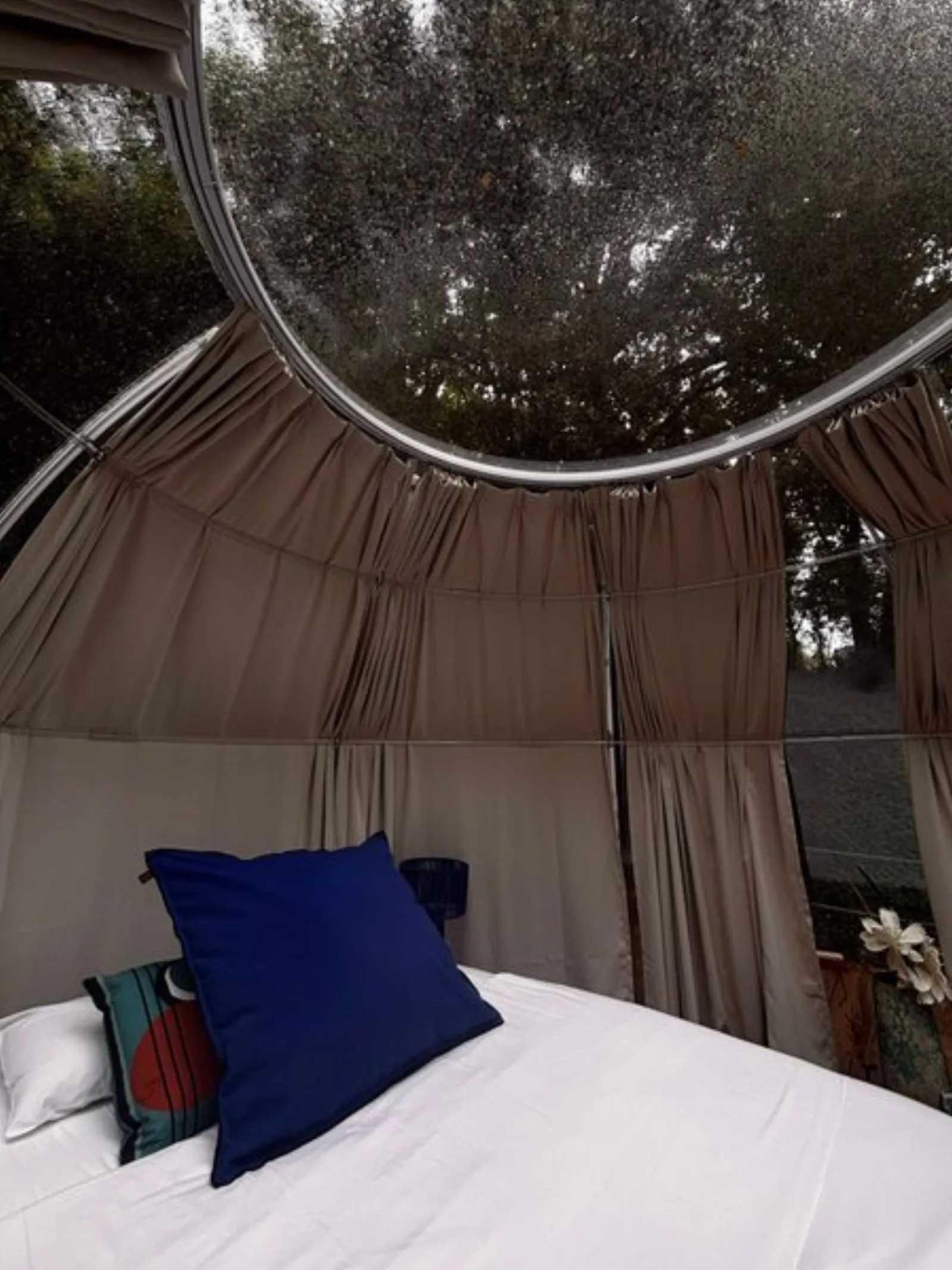 La Bulle coup de coeur & Spa <3 : Bulle en Languedoc-Roussillon (Occitanie) - photo 6 sur 13