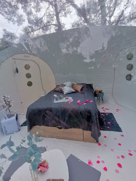 Chambre bulle sous les étoiles à Beynes