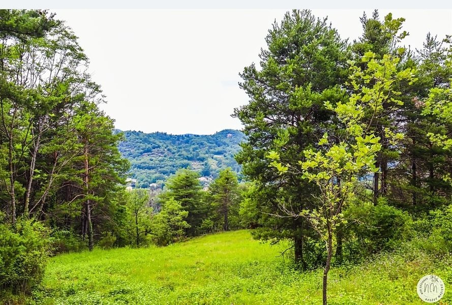 Bubble Dream : Bulle en Provence-Alpes-Côte d'Azur – photo 11 sur 19