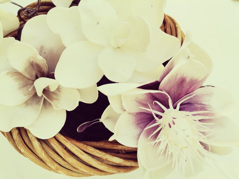 La Bulle des Nymphes : Bulle en Provence-Alpes-Côte d'Azur – photo 7 sur 23