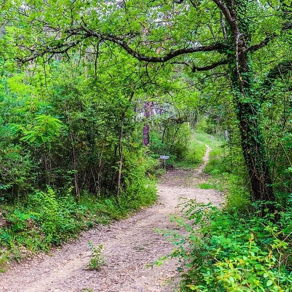 La Bulle des Nymphes : Bulle en Provence-Alpes-Côte d'Azur – photo 15 sur 23