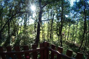 La Bulle des Nymphes : Bulle en Provence-Alpes-Côte d'Azur – photo 19 sur 23