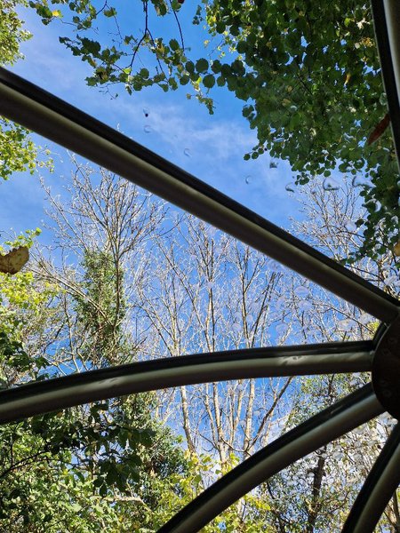 Bulle sous les étoiles