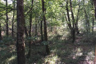 Bulle Semillon & spa : Bulle en Aquitaine (Nouvelle Aquitaine) – photo 12 sur 12