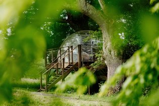 Bulle au sommet du Chêne & Spa : Bulle en Midi-Pyrénées (Occitanie) – photo 21 sur 22