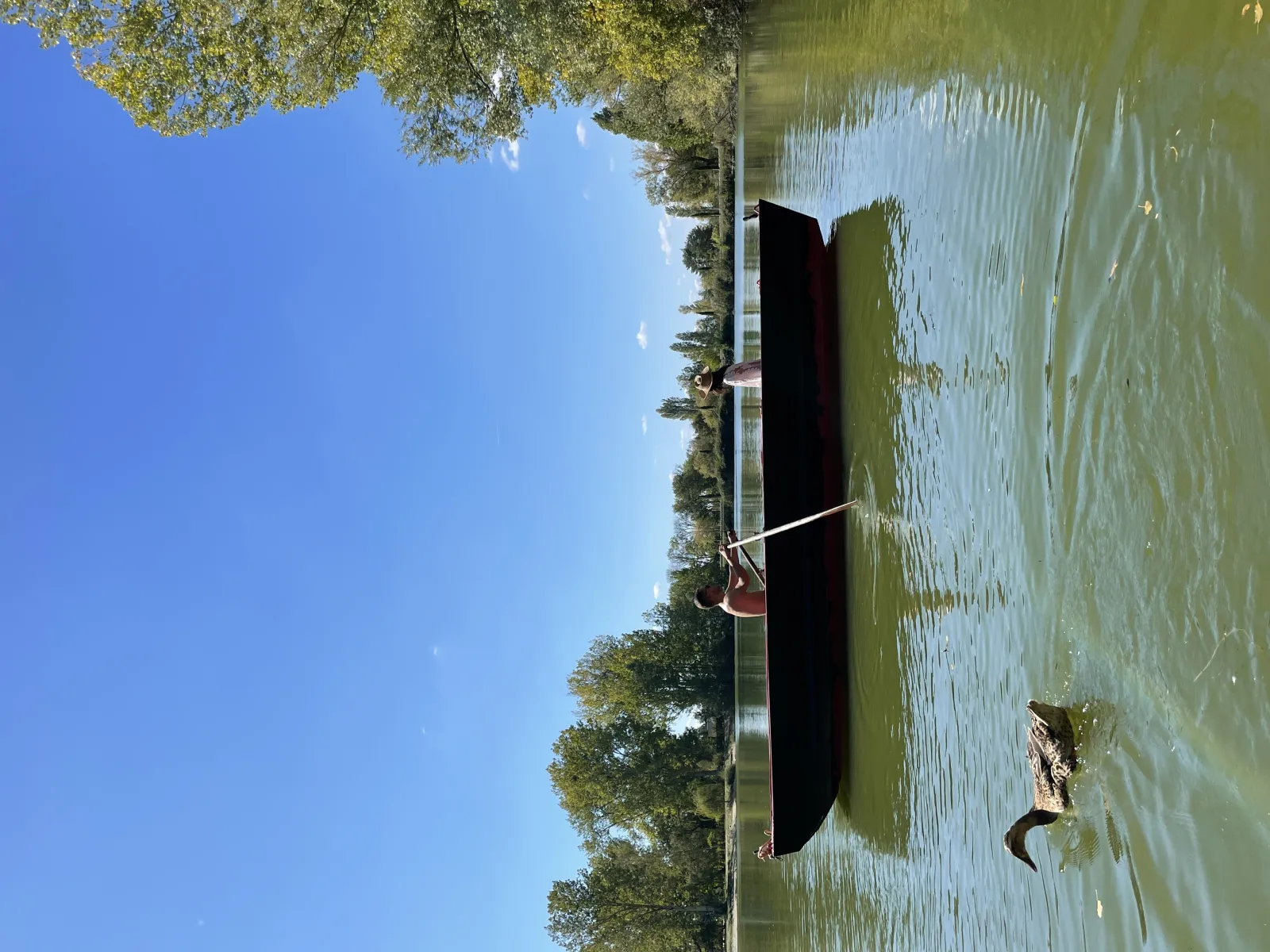 Bulle Hameau Nature - Bulle sans électricité près des étangs (Gravon, Seine-et-Marne) - photo 8 sur 9