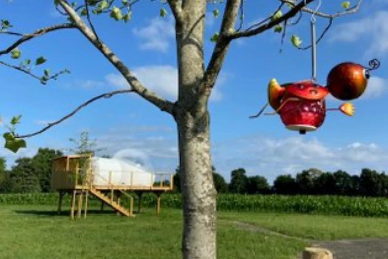 La Bulle de la Fée Morgane : Bulle en Bretagne - photo 10 sur 13