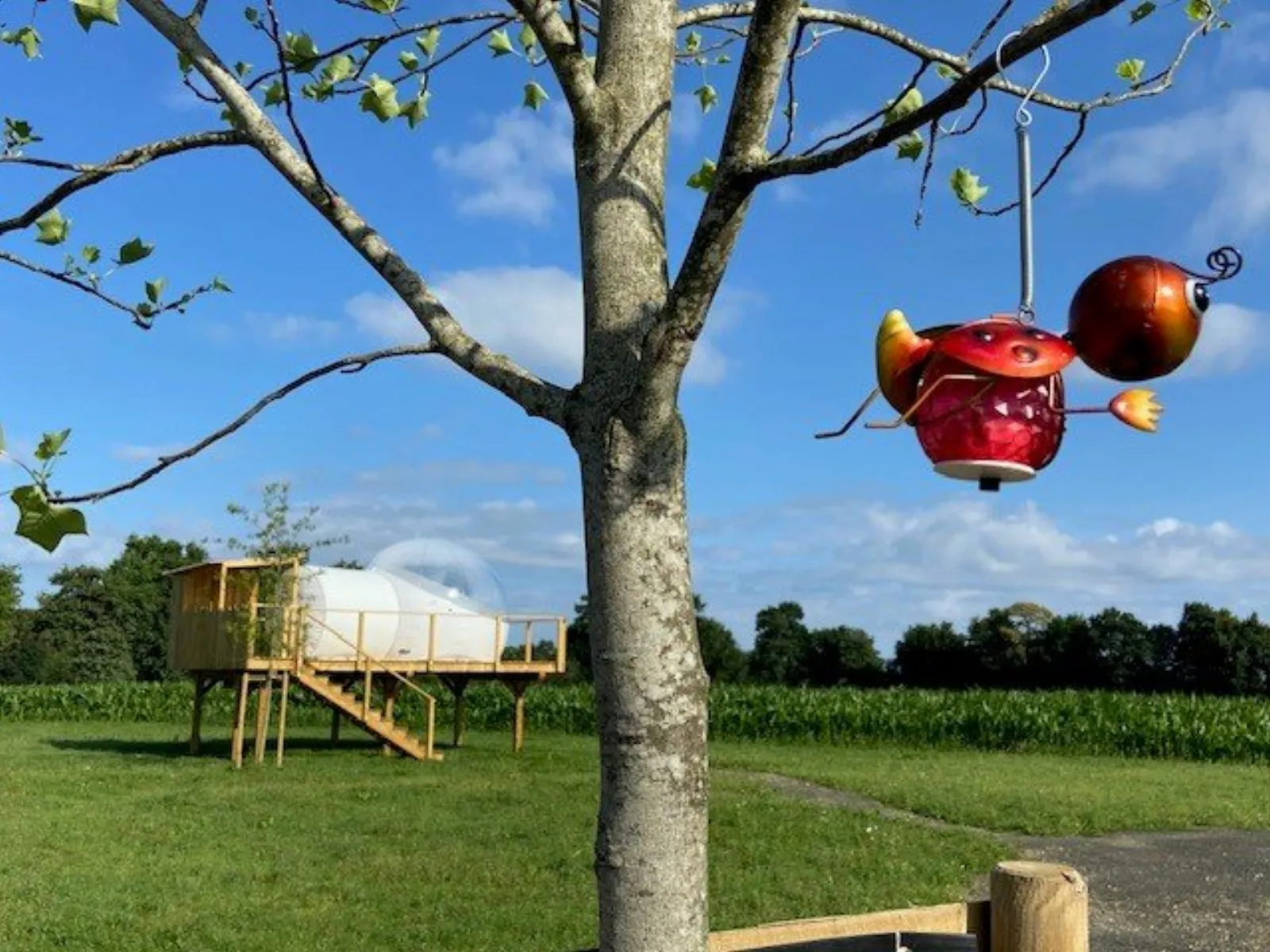 La Bulle de la fée Viviane : Bulle en Bretagne - cadre naturel Ille-et-Vilaine