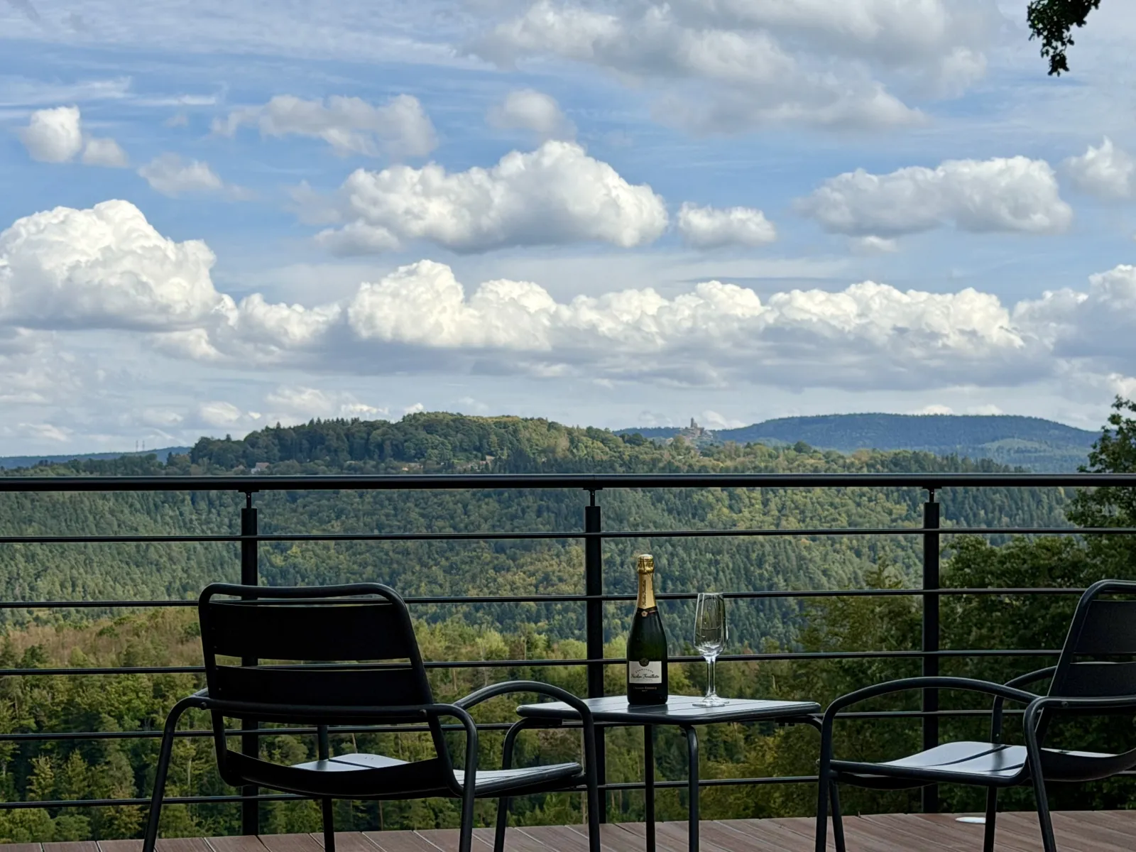 Dôme Aura - Dôme avec sauna panoramique et bain nordique (Hommert, Moselle) - photo 14 sur 25