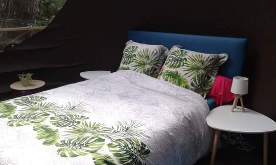 bulle insolite Côtes-d'Armor – photo 5