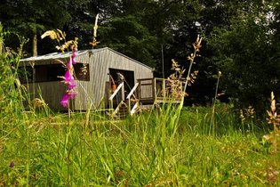 Bulle Spa transparente : Bulle en Basse-Normandie (Normandie) – photo 8 sur 12