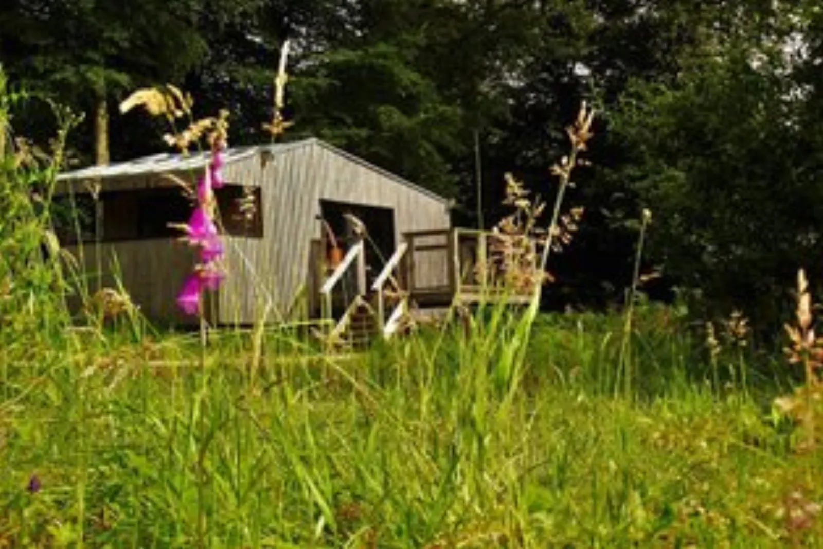 Bulle Spa transparente : Bulle en Basse-Normandie (Normandie) - photo 8 sur 12