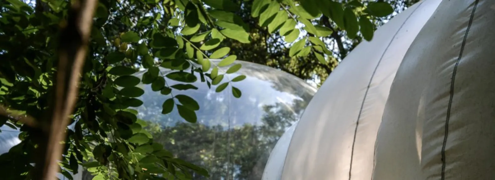 Bulle Blanche d'Hossegor & Spa : Bulle en Aquitaine (Nouvelle Aquitaine) - cadre naturel Landes